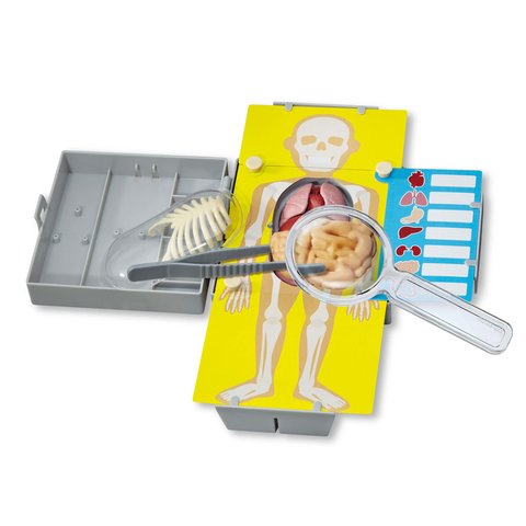 STEM-набір 4М Будова тіла 00-03373 Прев'ю 1