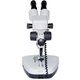 Microscopio Binocular con Zoom Estéreo ZTX-E-C2 Vista previa  2